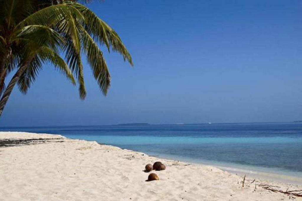 Madi Finolhu Guest House Dharavandhoo Exteriér fotografie