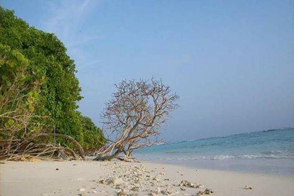 Madi Finolhu Guest House Dharavandhoo Exteriér fotografie